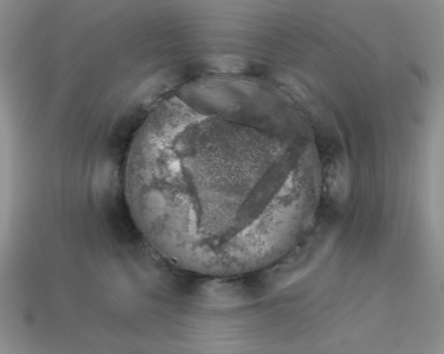 X0000113000568200909101759