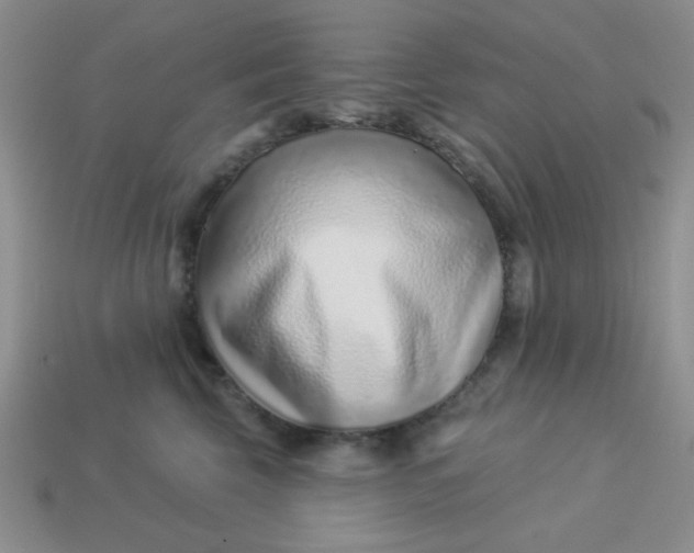 X0000113000569200909101759