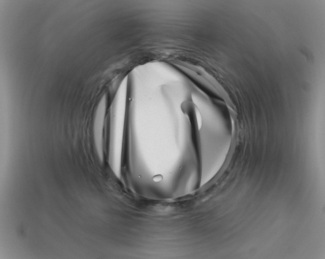 X0000113000570200909101759