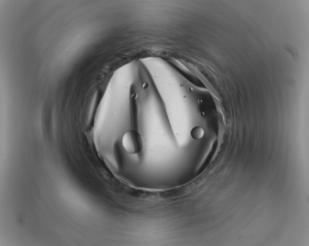 X0000113000572200909101759