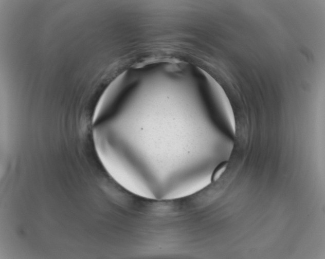 X0000113000574200909101759