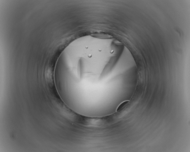 X0000113000575200909101759