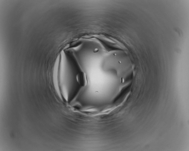 X0000113000576200909101759