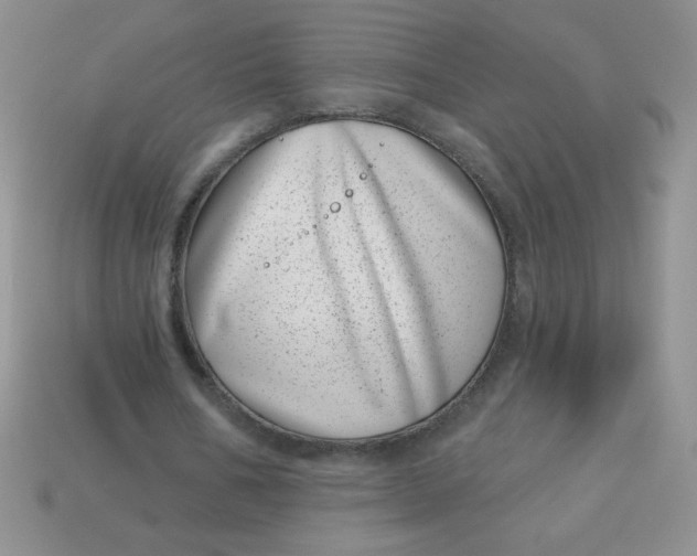 X0000113000578200909101758