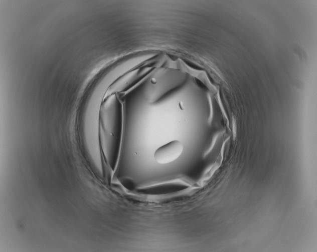 X0000113000579200909101758