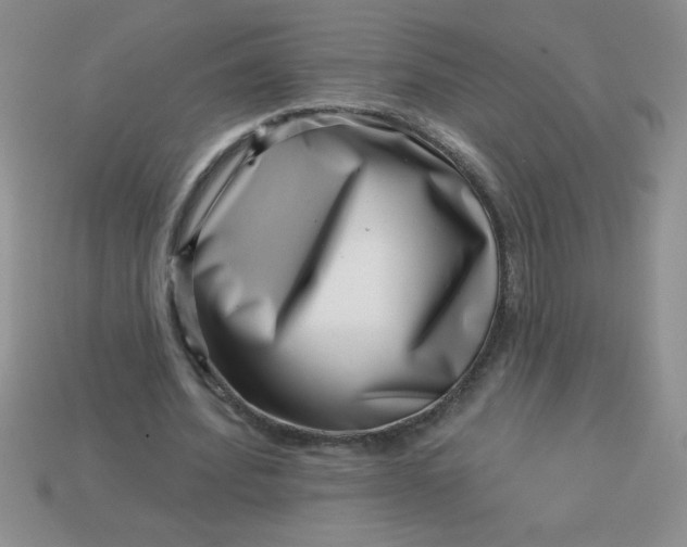 X0000113000580200909101758