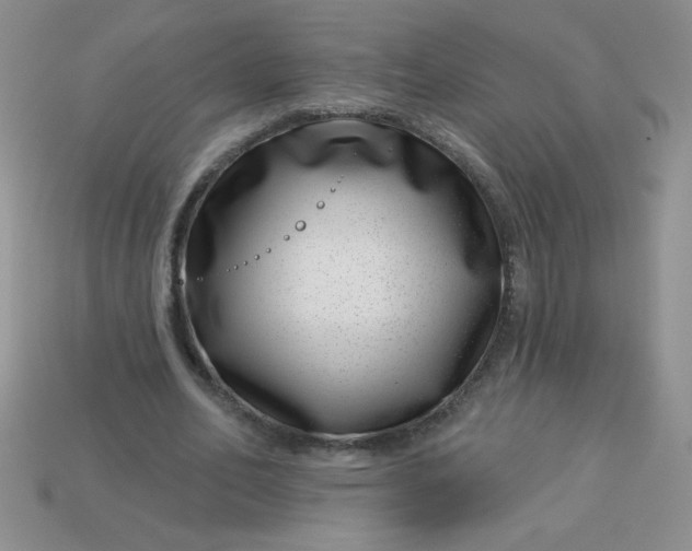 X0000113000582200909101758