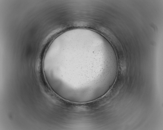 X0000113000583200909101758