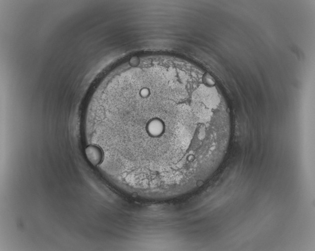 X0000113000584200909101758