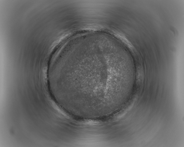 X0000113000585200909101758