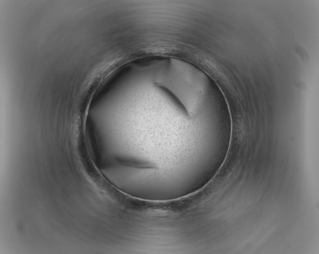 X0000113000586200909101758