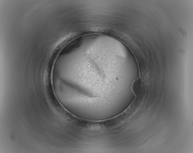 X0000113000587200909101758