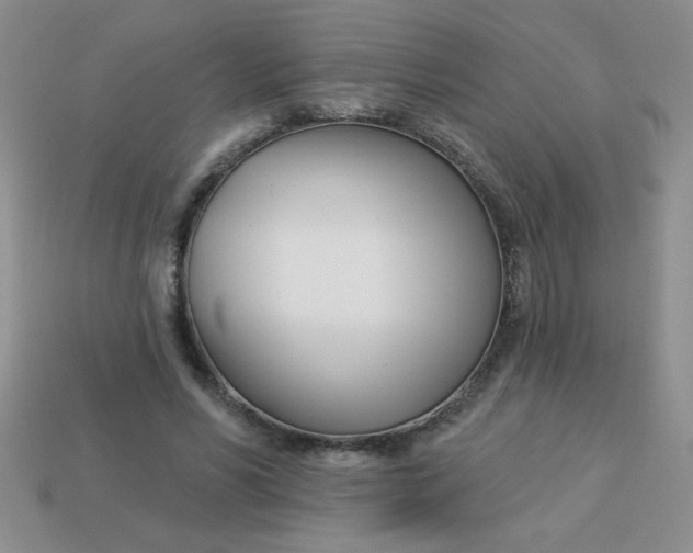 X0000113000590200909101758