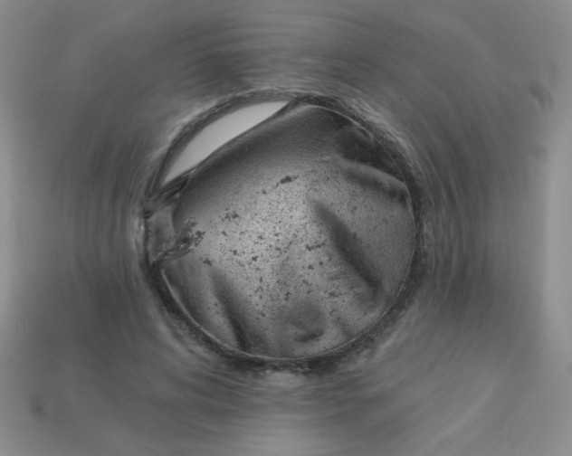 X0000113000592200909101758