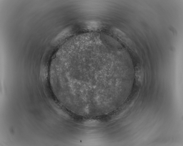 X0000113000593200909101758