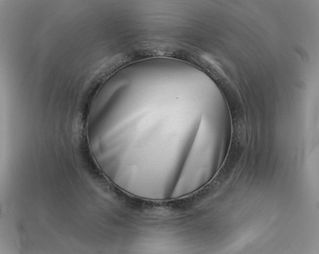 X0000113000594200909101758