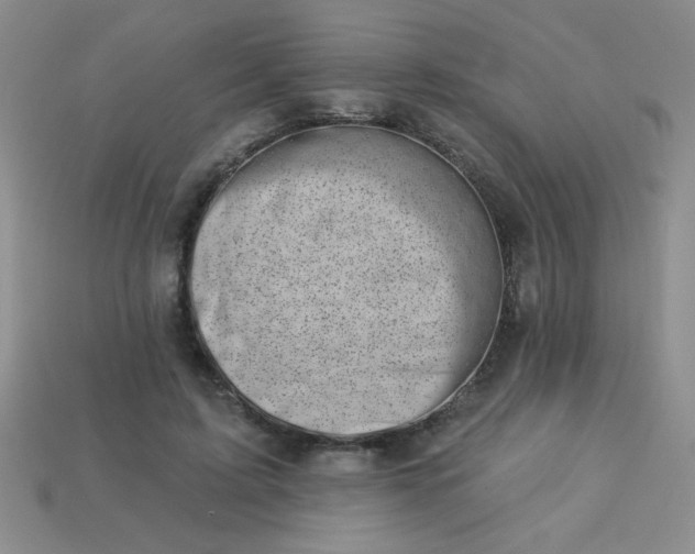 X0000113000595200909101758