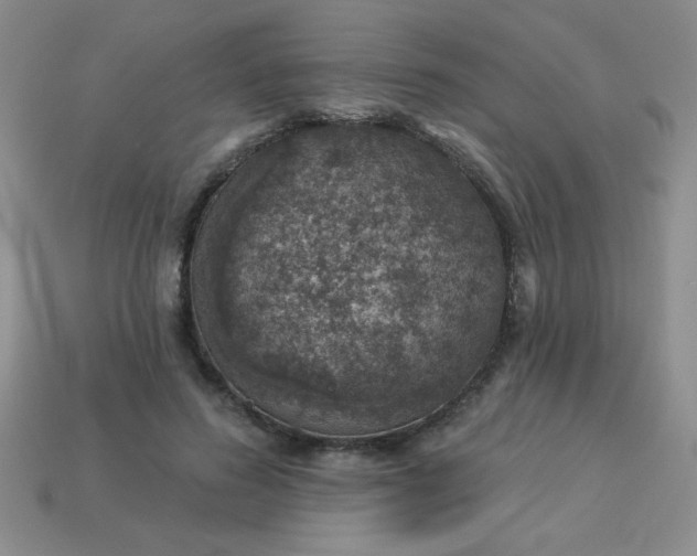 X0000113000596200909101758