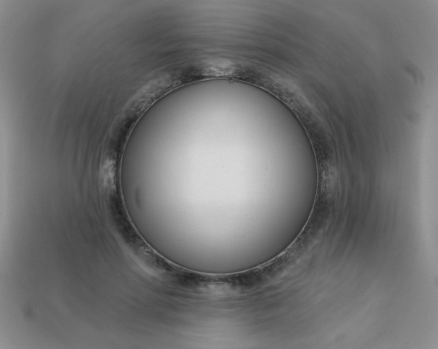 X0000113000598200909101758