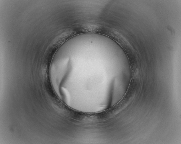 X0000113000599200909101758