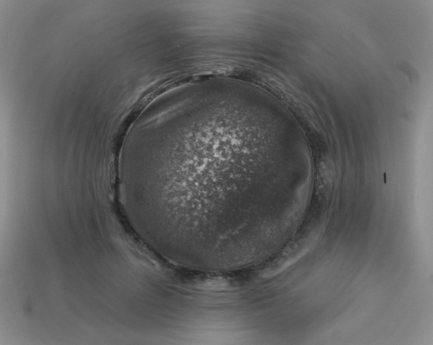 X0000113000600200909101758