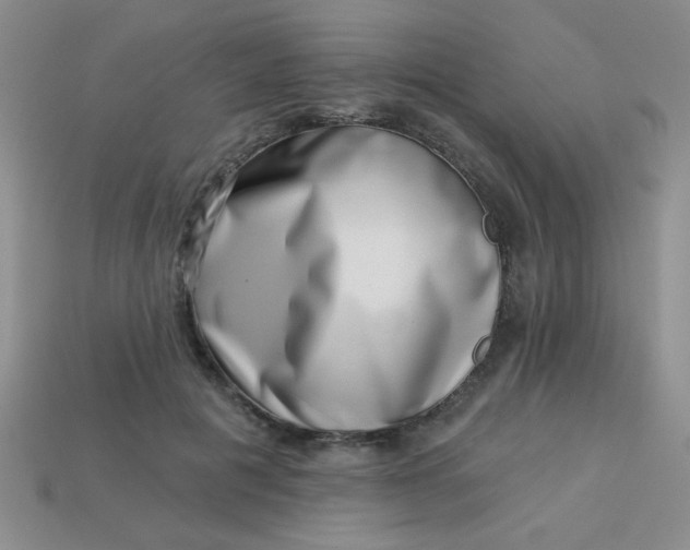 X0000113000601200909101758