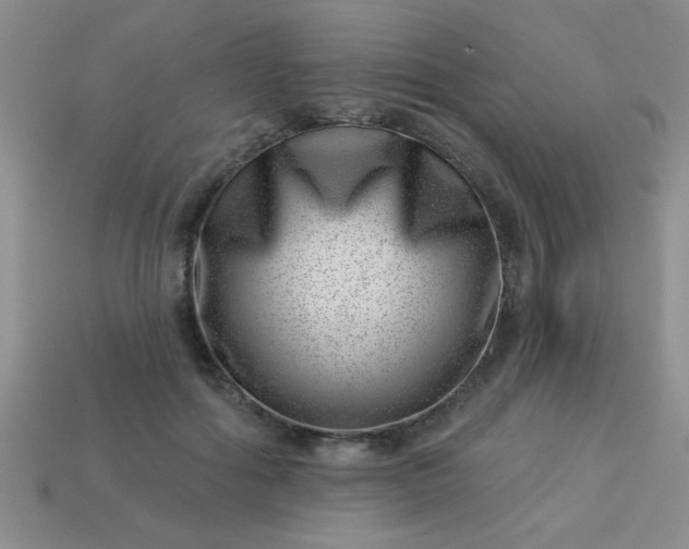 X0000113000602200909101758