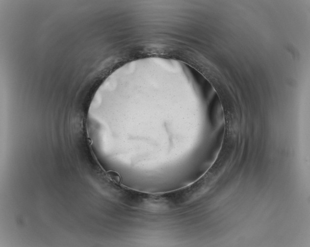 X0000113000603200909101758