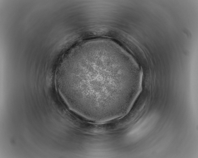 X0000113000604200909101758