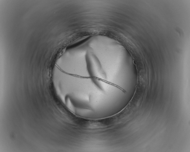 X0000113000605200909101758