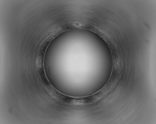 X0000113000606200909101758