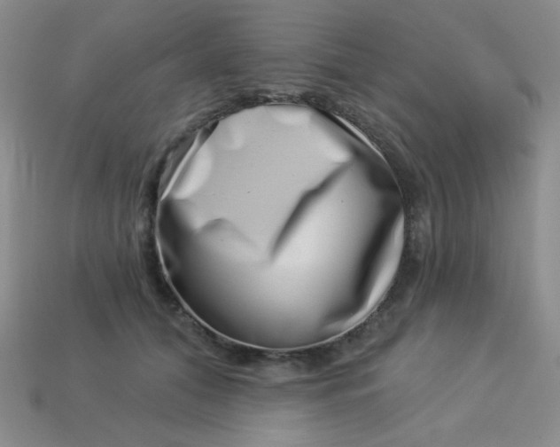 X0000113000608200909101758