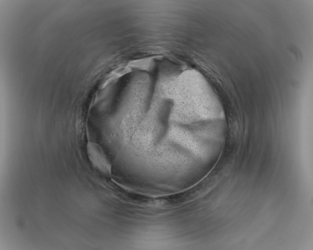 X0000113000609200909101758