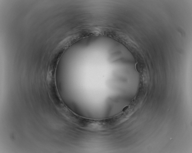 X0000113000611200909101758