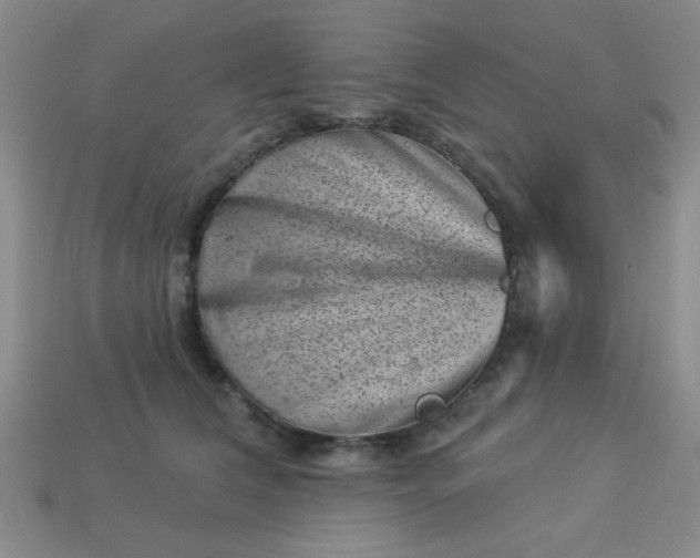 X0000113000612200909101758