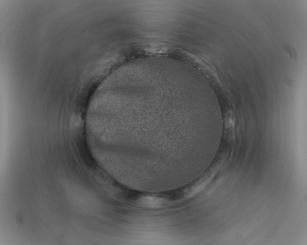 X0000113000614200909101758