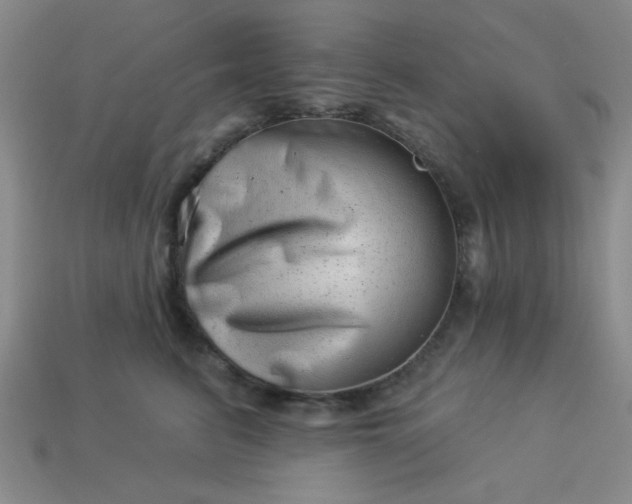 X0000113000615200909101758