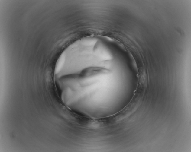 X0000113000616200909101758