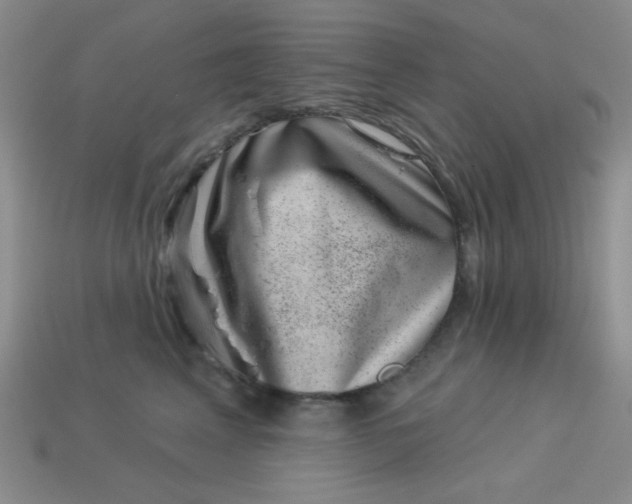 X0000113000617200909101758