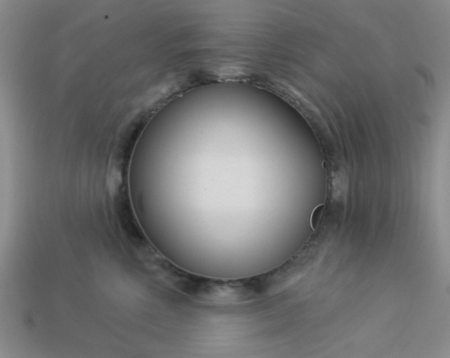 X0000113000618200909101758