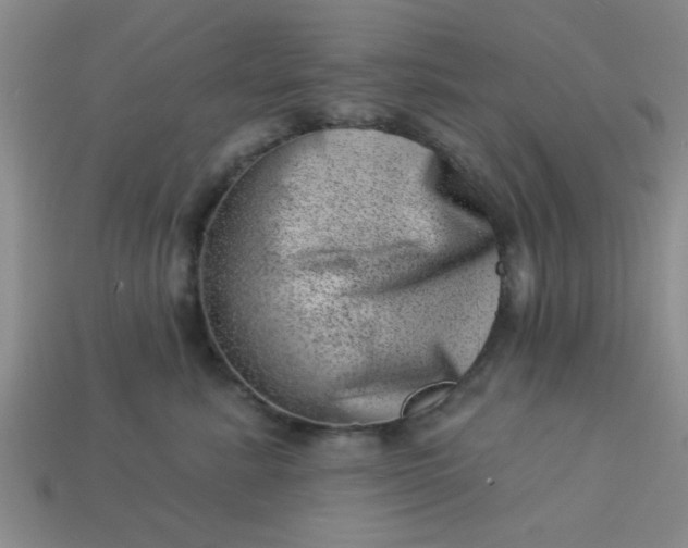 X0000113000619200909101758