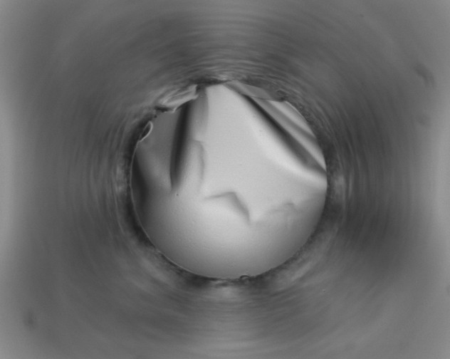 X0000113000620200909101758