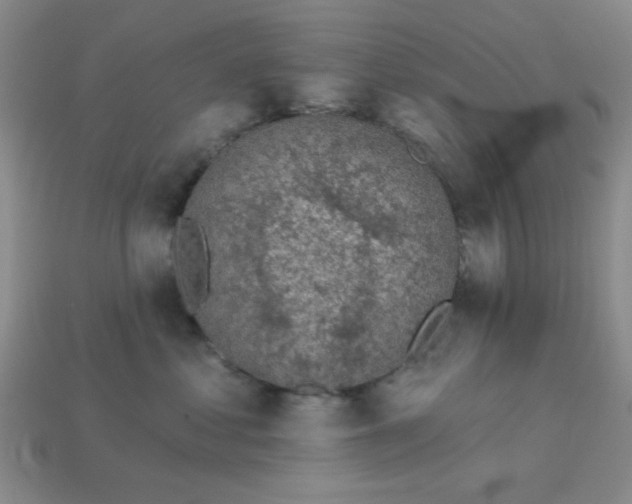 X0000113000621200909101758