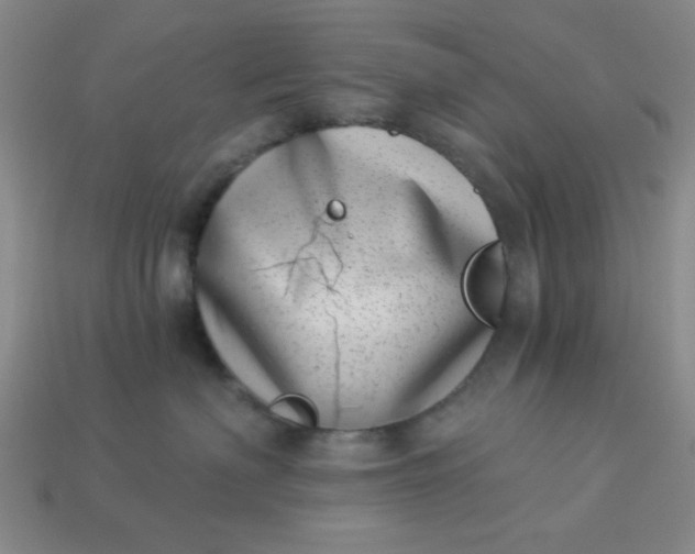 X0000113000622200909101758