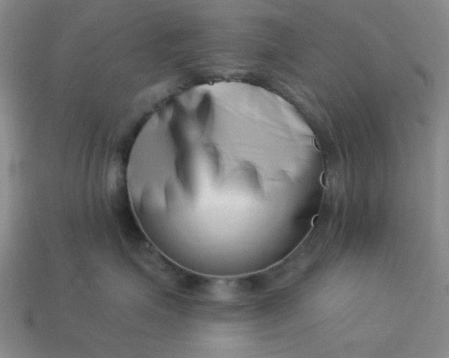 X0000113000623200909101758