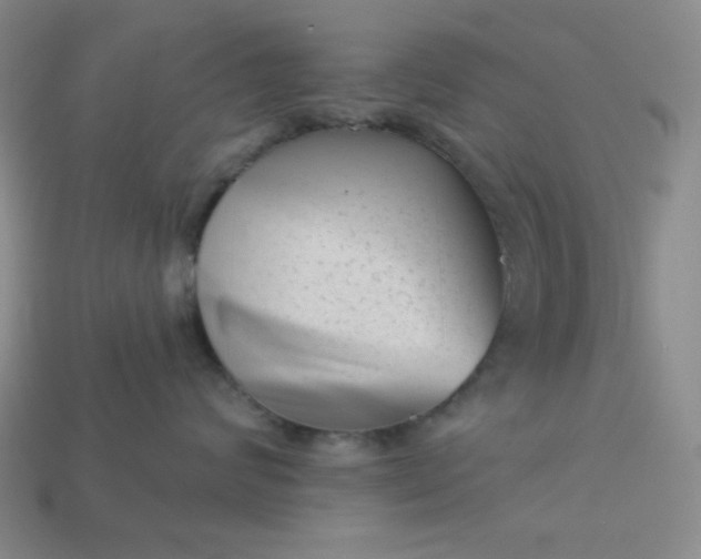 X0000113000624200909101758