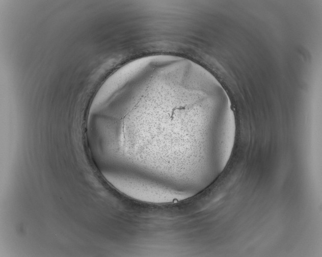 X0000113000625200909101757