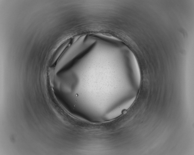 X0000113000626200909101757