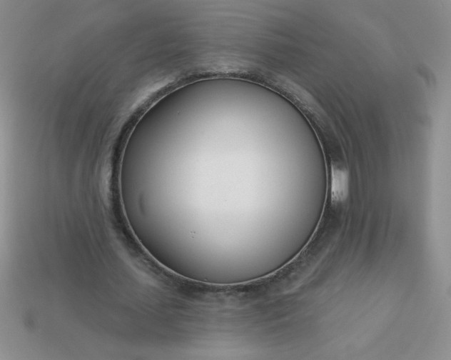 X0000113000627200909101757