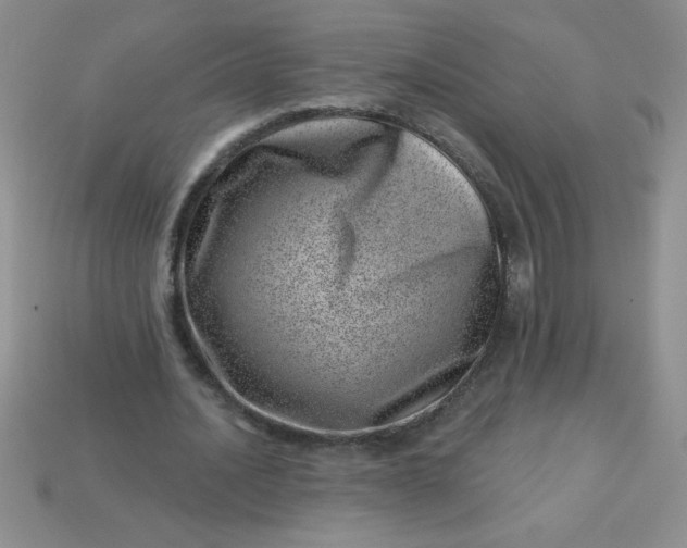 X0000113000628200909101757